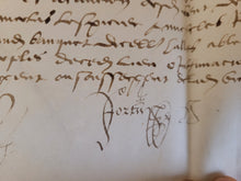 Load image into Gallery viewer, Renaissance Charter. Manuscript on Parchment, July 1 1555