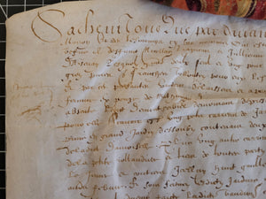 French Charter. Manuscript on Parchment, 1609