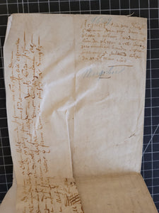 French Charter. Manuscript on Parchment, 1609