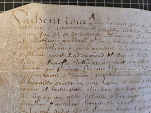 Renaissance Charter. Manuscript on Parchment, 1614
