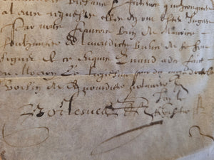 Renaissance Charter. Manuscript on Parchment, 1614