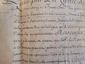 Letter of Veterancy by Louis XV in favor of Jacques Le Noir, assistant for the office of the fourrière within the Bouche du roi. Manuscript on Parchment, with secretarial signature of Louis XV and signature of Secretary of State, December 28 1718