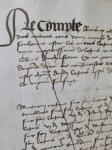 Manuscript Account book of the Chastellenie of La Chaize-le-Vicomte, for Louis II de la Trémoille, 1480-1481. Borgia Family Connection