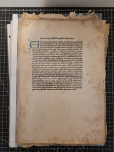 Peregrinatio in Terram Sanctam, June 21 1486
