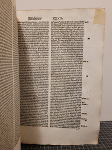 Explanatio Psalmorum, 1497