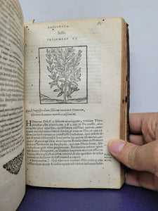 Omnia Andreae Alciati Emblemata cum commentariis, quibus emblematum aperta origin mens auctoris explicatur, et obscura omnia dubiaque illustrator, adjecta ad calcem nota posteriores per Claud. Minoem, 1589