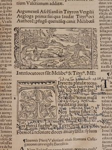 Opera Virgiliana cum decem commentis docte et familiariter exposita, docte q[ui]dem Bucolica, et Georgica a Servio, 1527