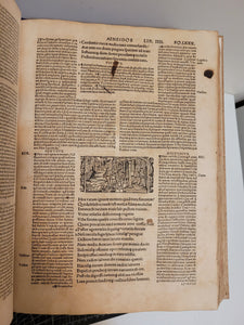 Opera Virgiliana cum decem commentis docte et familiariter exposita, docte q[ui]dem Bucolica, et Georgica a Servio, 1527