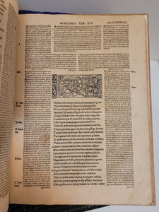 Opera Virgiliana cum decem commentis docte et familiariter exposita, docte q[ui]dem Bucolica, et Georgica a Servio, 1527