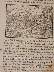 Biblia Sacra ad optima quaeque veteris ut vocant tralationis exemplaria summa diligentia parique fide castigate, 1556