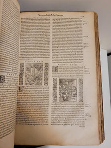 Biblia Sacra ad optima quaeque veteris ut vocant tralationis exemplaria summa diligentia parique fide castigate, 1556