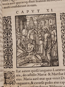 Biblia Sacra ad optima quaeque veteris ut vocant tralationis exemplaria summa diligentia parique fide castigate, 1556