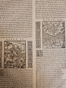 Biblia Sacra ad optima quaeque veteris ut vocant tralationis exemplaria summa diligentia parique fide castigate, 1556