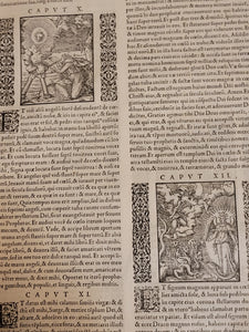 Biblia Sacra ad optima quaeque veteris ut vocant tralationis exemplaria summa diligentia parique fide castigate, 1556