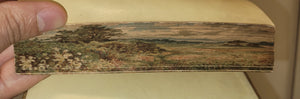 The Poetical Works of William Cowper, 1830-1831. Three Fore-Edge Paintings