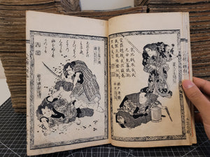 Nanso Satomi Hakkenden, 19th Century