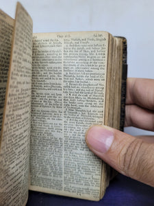 The Holy Bible Containing the Old Testament and The New: Newly Translated Out of The Original Tongues: and with the former Translations diligently Compared and Revised by his Majesties Special Command, 1676