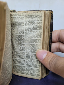The Holy Bible Containing the Old Testament and The New: Newly Translated Out of The Original Tongues: and with the former Translations diligently Compared and Revised by his Majesties Special Command, 1676