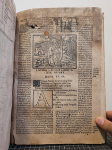 P. Ouidii Nasonis Libri de Arte Amandi & de Remedio Amoris; Bound With; Amorum Libri Tres, 1516/1518. Sammelband of Ovid Texts