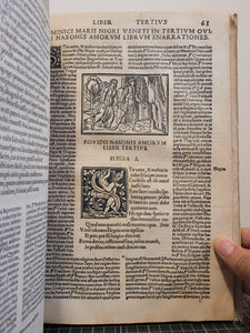 P. Ouidii Nasonis Libri de Arte Amandi & de Remedio Amoris; Bound With; Amorum Libri Tres, 1516/1518. Sammelband of Ovid Texts