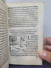 Load image into Gallery viewer, Fabulae Aesopi Iam Denvo Multo Emeendatius quam antea aeditae. Autore Ioachimo Camerario Pabergensi, 1557