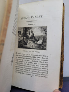 Aesop's Fables, Embelished with One Hundred and Eleven Elegant Engravings, Circa 1800