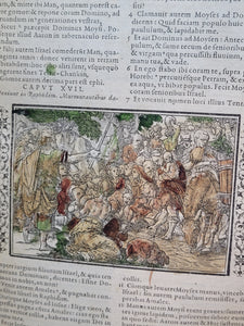 Biblia Sacra Veteris et Novi Testamenti, 1578. Enhanced with Hand Colored Woodcuts