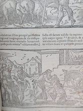 Load image into Gallery viewer, Biblia Sacra, 16th Century