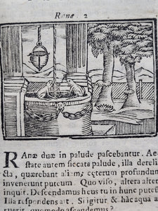 Aesopi Phrygis et Aliorum Fabulae Quorum Nomina Sequens Pagella Indicabit, 1718. Black Mold Warning