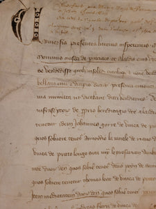 Medieval Charter for one Monin Muset, 1335. Manuscript on Parchment