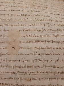 Medieval Charter for one Monin Muset, 1335. Manuscript on Parchment