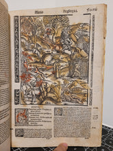 Load image into Gallery viewer, Vergilius com commentarijs. Opera Vergiliana: antea corrupta: con mendosa: nunc vero multorum exemplarium collatione in integrum restituta: docte: con familiariter exposita, 1519