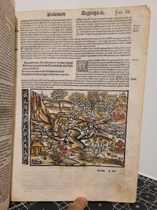 Vergilius com commentarijs. Opera Vergiliana: antea corrupta: con mendosa: nunc vero multorum exemplarium collatione in integrum restituta: docte: con familiariter exposita, 1519