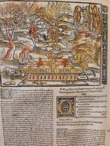 Vergilius com commentarijs. Opera Vergiliana: antea corrupta: con mendosa: nunc vero multorum exemplarium collatione in integrum restituta: docte: con familiariter exposita, 1519