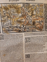 Load image into Gallery viewer, Vergilius com commentarijs. Opera Vergiliana: antea corrupta: con mendosa: nunc vero multorum exemplarium collatione in integrum restituta: docte: con familiariter exposita, 1519