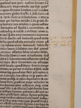 Load image into Gallery viewer, Vergilius com commentarijs. Opera Vergiliana: antea corrupta: con mendosa: nunc vero multorum exemplarium collatione in integrum restituta: docte: con familiariter exposita, 1519