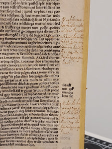 Vergilius com commentarijs. Opera Vergiliana: antea corrupta: con mendosa: nunc vero multorum exemplarium collatione in integrum restituta: docte: con familiariter exposita, 1519