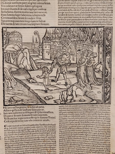 Vergilius com commentarijs. Opera Vergiliana: antea corrupta: con mendosa: nunc vero multorum exemplarium collatione in integrum restituta: docte: con familiariter exposita, 1519