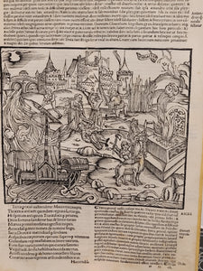 Vergilius com commentarijs. Opera Vergiliana: antea corrupta: con mendosa: nunc vero multorum exemplarium collatione in integrum restituta: docte: con familiariter exposita, 1519