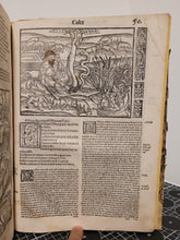 Load image into Gallery viewer, Vergilius com commentarijs. Opera Vergiliana: antea corrupta: con mendosa: nunc vero multorum exemplarium collatione in integrum restituta: docte: con familiariter exposita, 1519