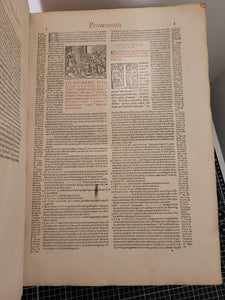 Corpus iuris Civilis, Containing Digestum Vetus, Institutiones Emendatae, Authentica Novellarum Volumen Eruditis, and Additional Texts, 1549. 3 of 6 Volumes. Bound in 14th Century Fragments of the Decretals of Boniface VIII, with a Miniature