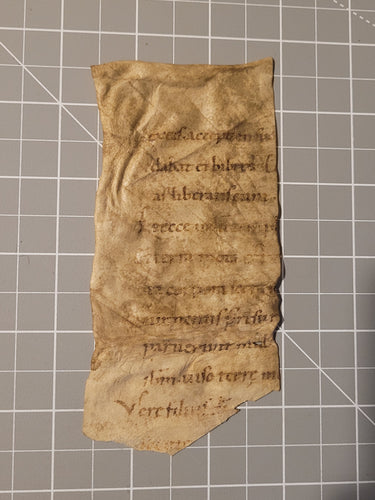 ***RESERVED*** Fragment from a Liturgical Text, 12th Century. Latin Manuscript on Parchment. 10 Lines of Proto-gothic Script