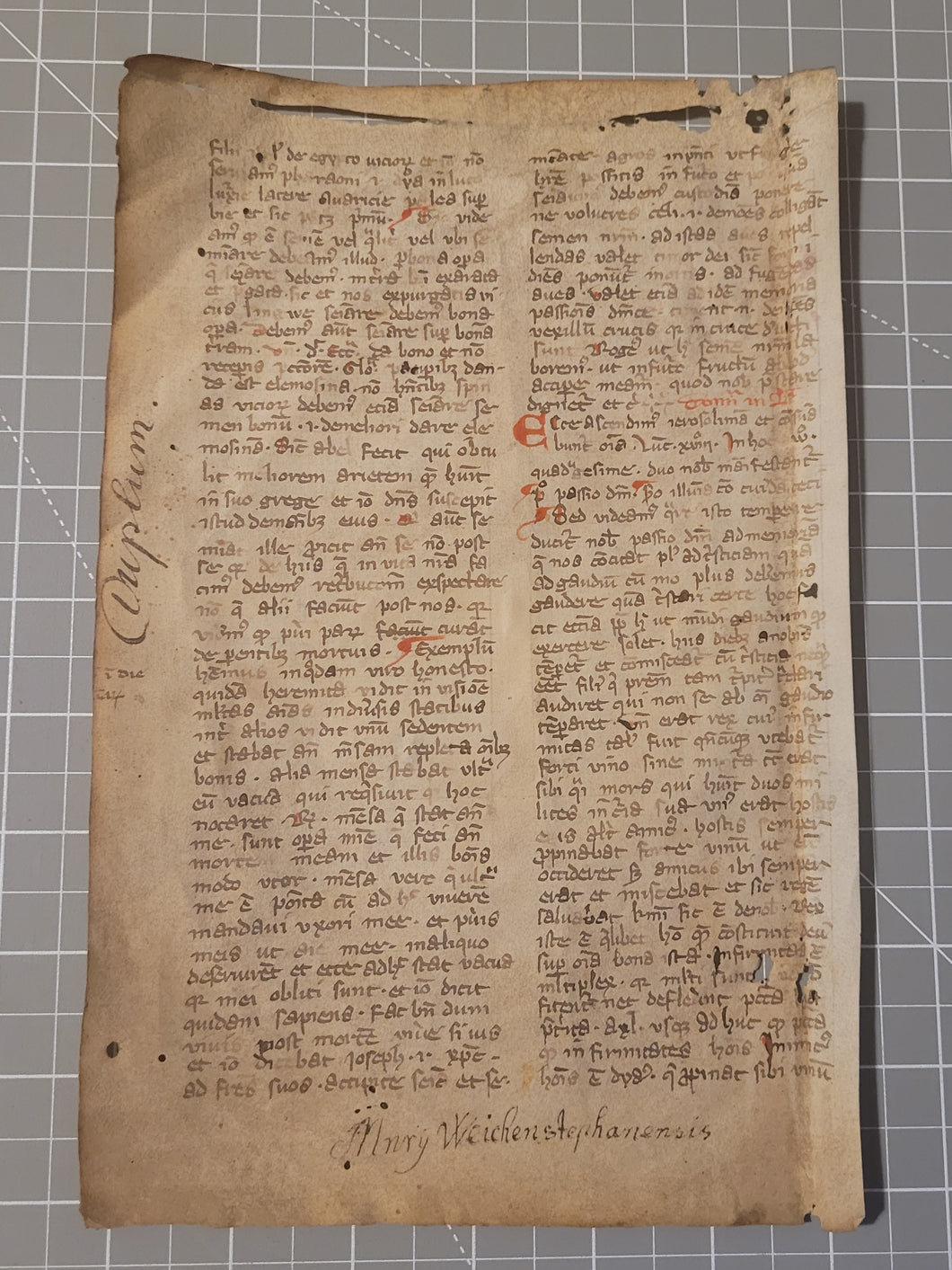 Leaf on the Commentary on the Gospels, Containing the Gospel of Quinquagesima Sunday, 13th Century. Recovered from a Binding. Latin Manuscript on Parchment. 45 Lines of Script