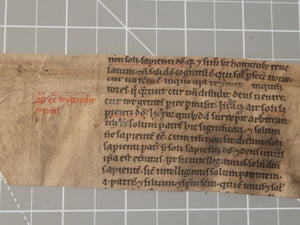 Leaf Fragment from a Glossed Biblical Manuscript, Late 13th Century. Latin Manuscript on Parchment. 12 Lines of Gothic Textura Book Hand