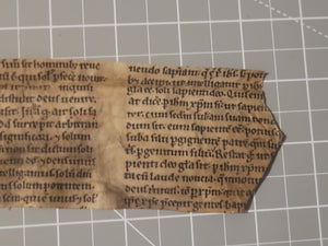 Leaf Fragment from a Glossed Biblical Manuscript, Late 13th Century. Latin Manuscript on Parchment. 12 Lines of Gothic Textura Book Hand