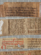 Load image into Gallery viewer, Medieval Binder’s Waste Fragment Study Lot, 12th-14th Century. 11 Pieces