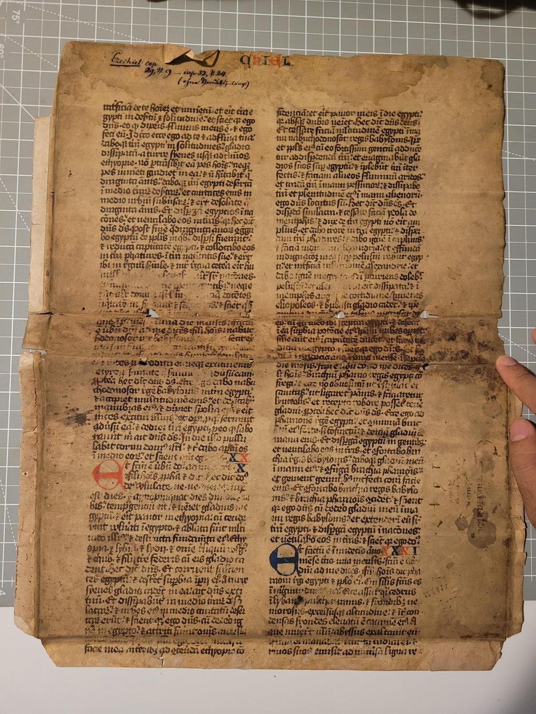 Manuscript Vulgate Bible Leaf, Early 13th Century. Book of Ezekiel. Large Manuscript on Parchment. 59 Line of Early Gothic Script. Recovered from a Binding