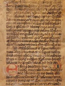 Manuscript Vulgate Bible Leaf, Early 13th Century. Book of Ezekiel. Large Manuscript on Parchment. 59 Line of Early Gothic Script. Recovered from a Binding