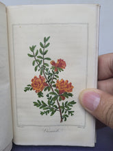 Load image into Gallery viewer, Le Parterre de Flore, 1820. Scarce Miniature Book Bound in a Silk Cartonnage Binding