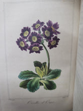 Load image into Gallery viewer, Le Parterre de Flore, 1820. Scarce Miniature Book Bound in a Silk Cartonnage Binding